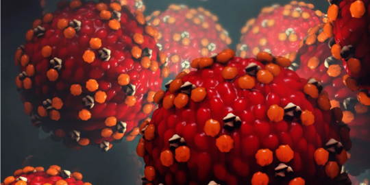 Measles Cell